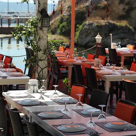 Lotus Restaurant & Шиле